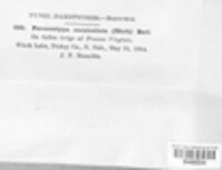 Image Associated With the Occurence
